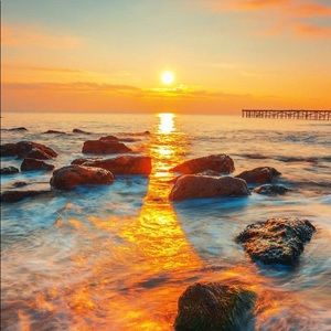 Meet your Posher, Linda